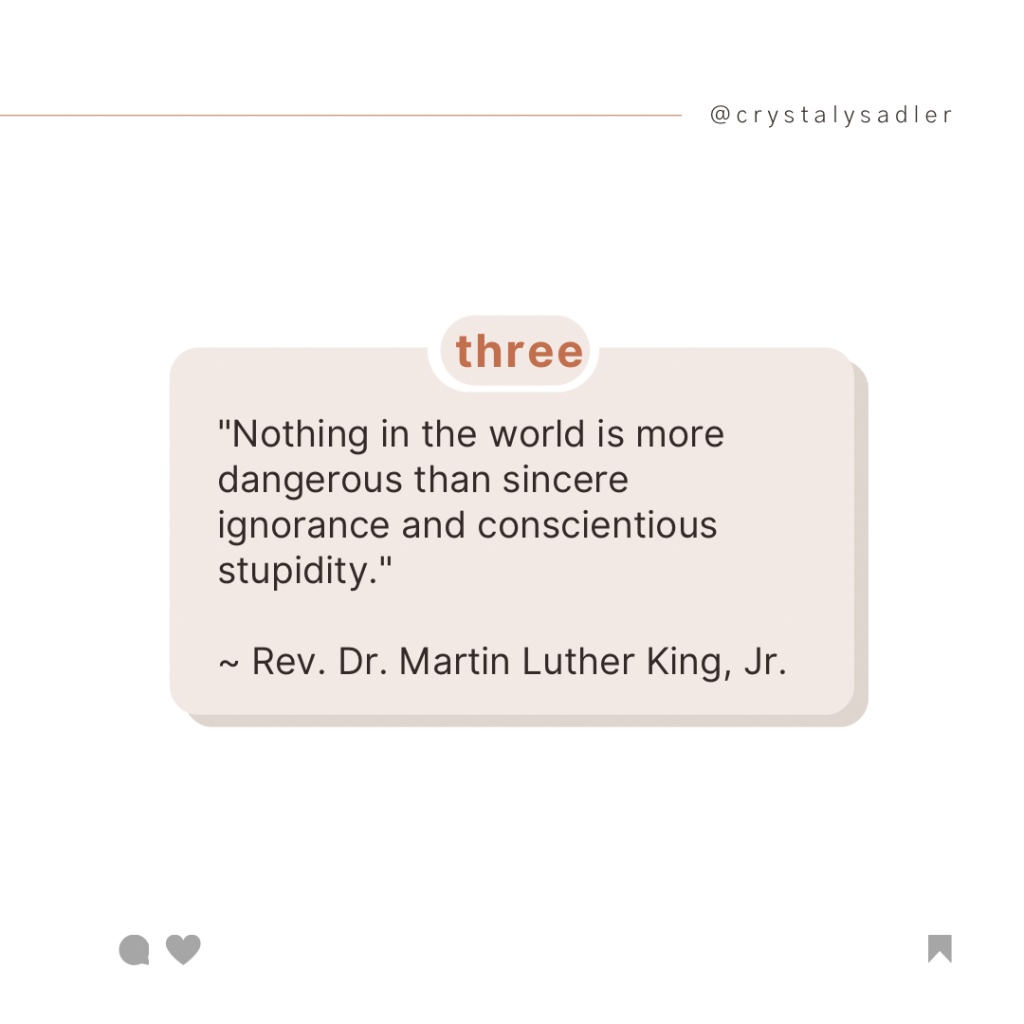 "Nothing in the world is more dangerous than sincere ignorance and conscientious stupidity."
~ Rev. Dr. Martin Luther King, Jr.