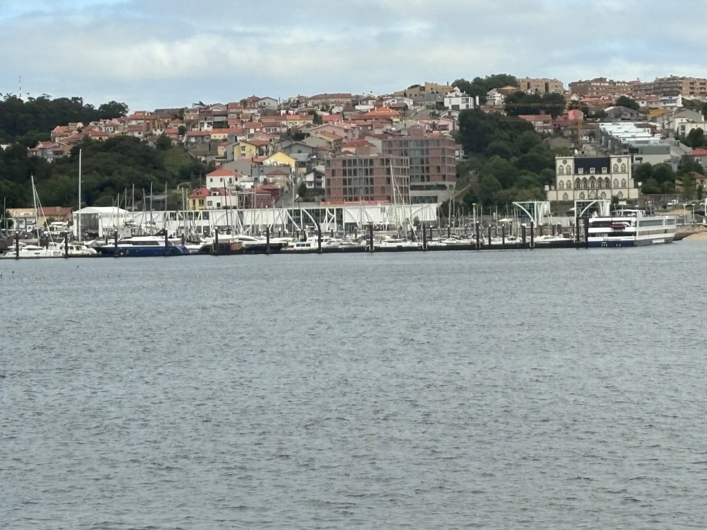 Discover Porto’s Unique New Year’s Tradition