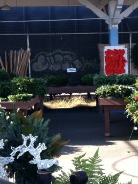 Train Graffiti graffiti