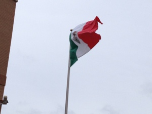Mexican Flag