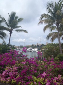 yachts at Sandy Lane Resort