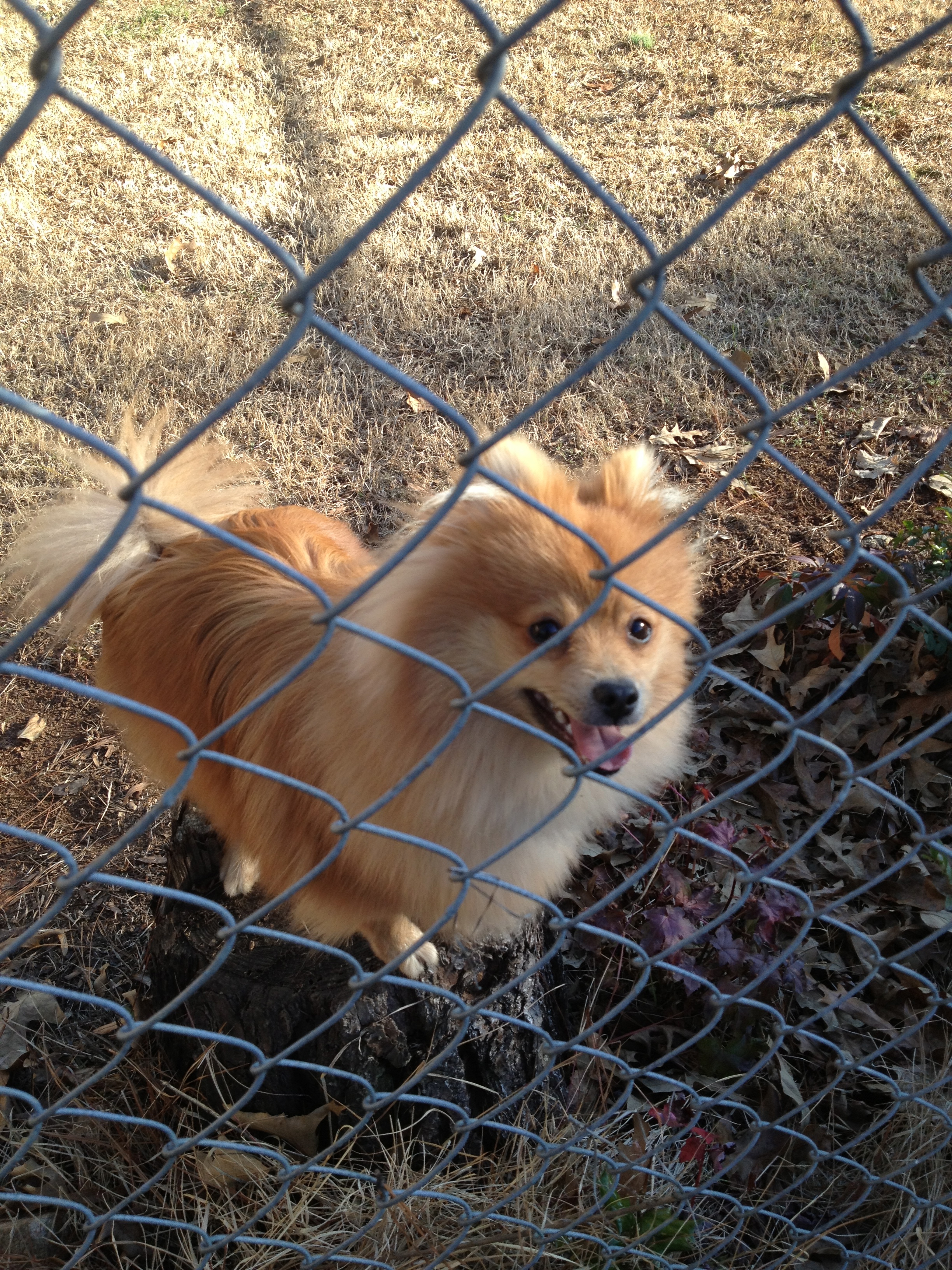 Weekly Photo Challenge: Joy