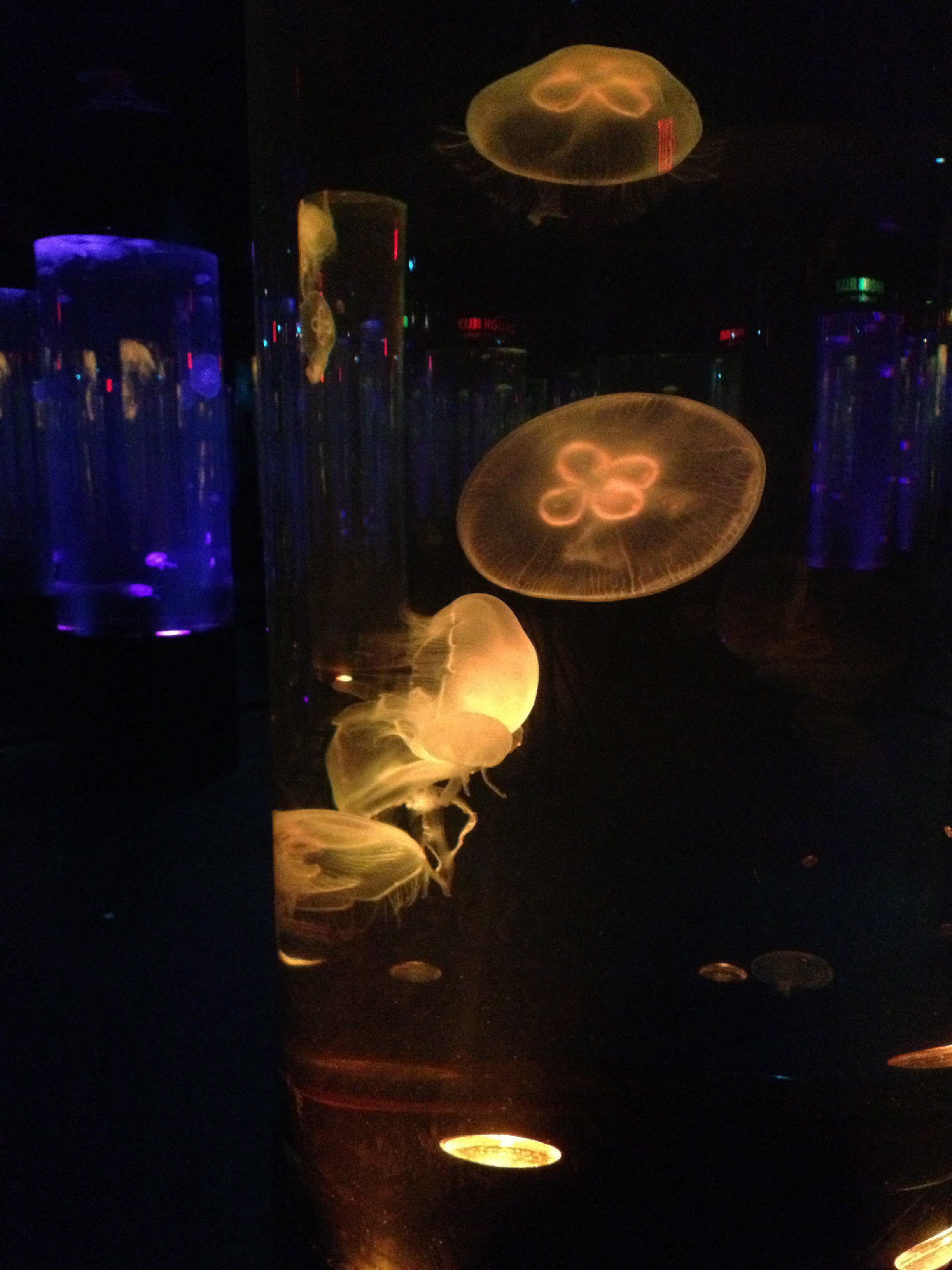 A Word A Week Challenge: Atmospheric