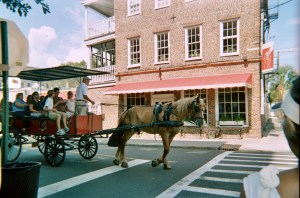 Horse pulling carriage