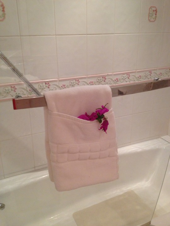 Bougainvillea in towel