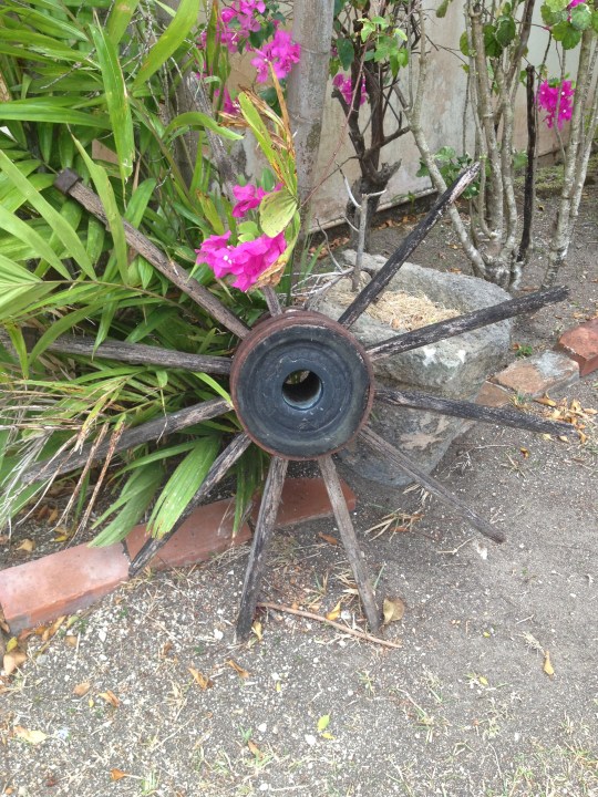 pink flowers surrounding a large wheel spoke