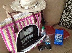 picnic bag, hat, sunglasses, tupperware