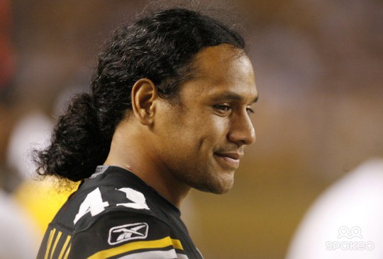 Troy Polamalu