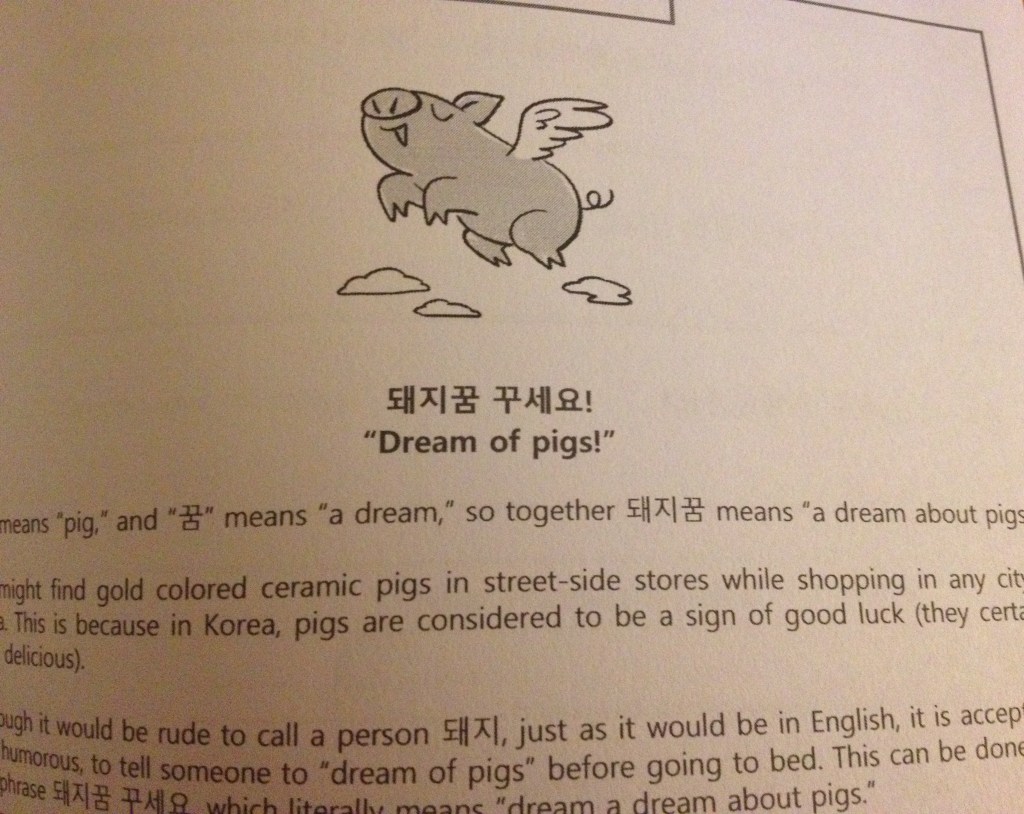 Korean lesson book