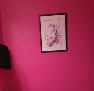 Hot pink bathroom wall
