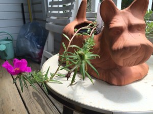 scottish terrier planter