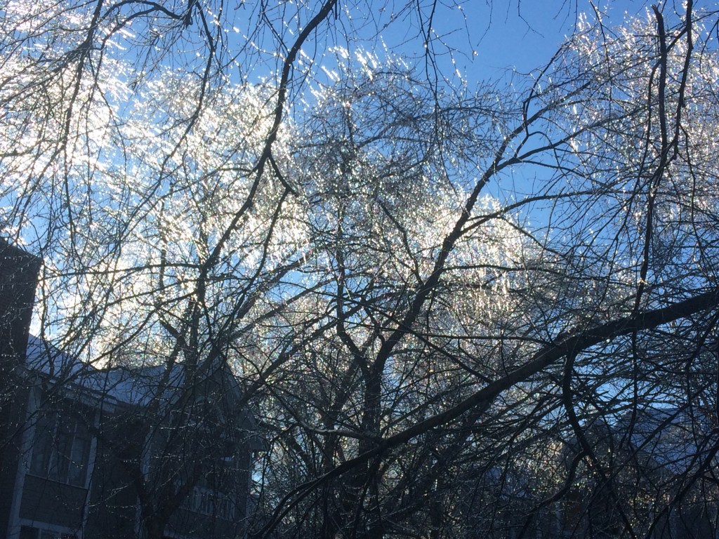 diamond snow sparkling