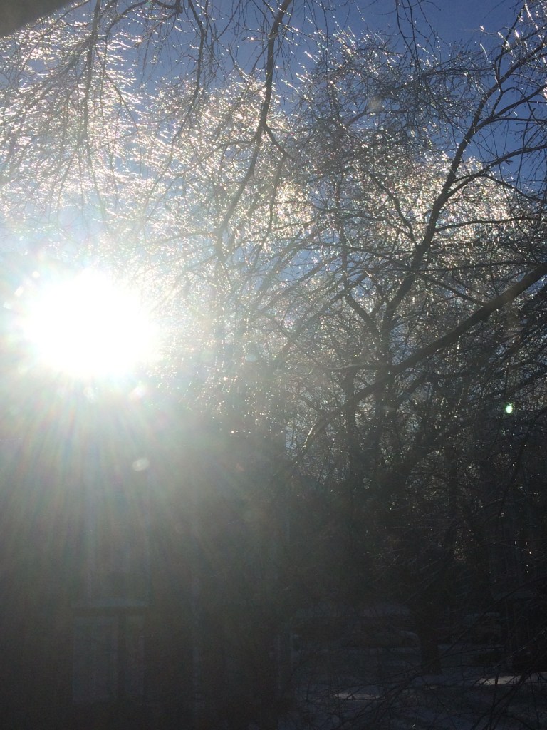 snow reflecting on snow