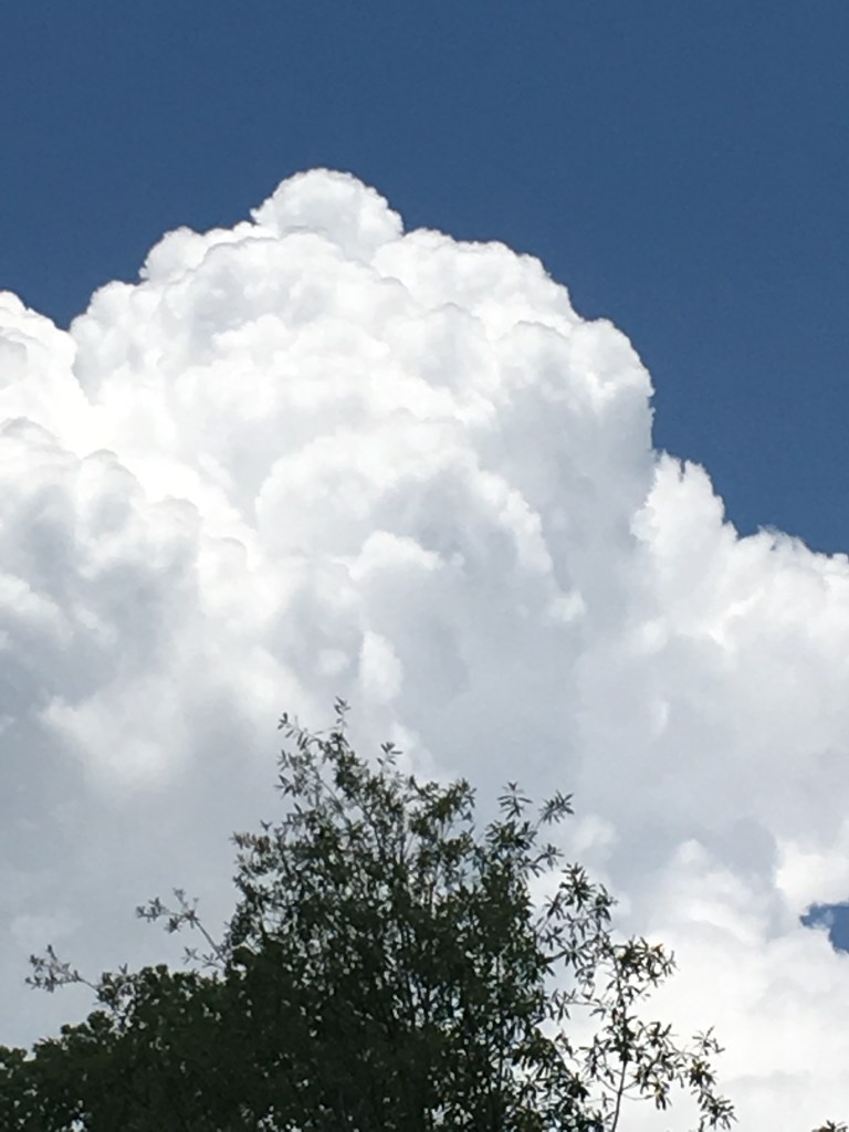 white, fluffy cloud in sky
