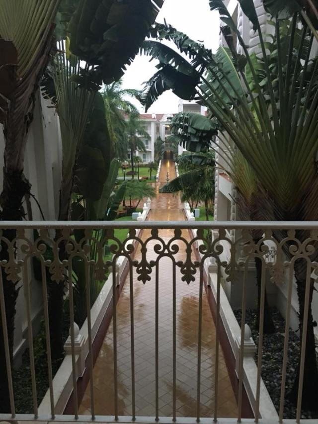 View of a cobblestone path