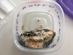 moldy food