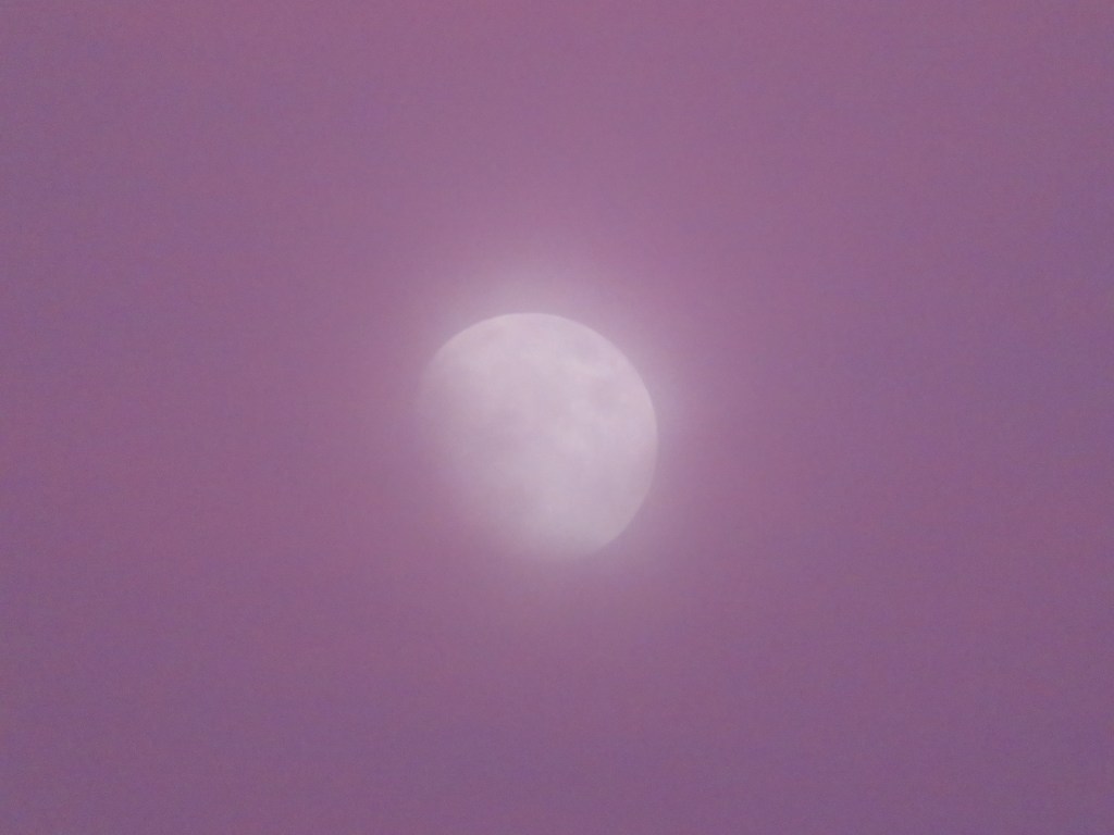 the moon at sunset in pink sky