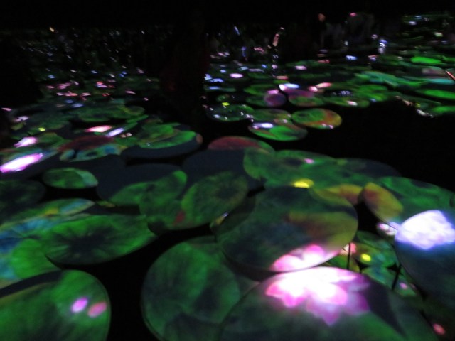 digital art water Lillies