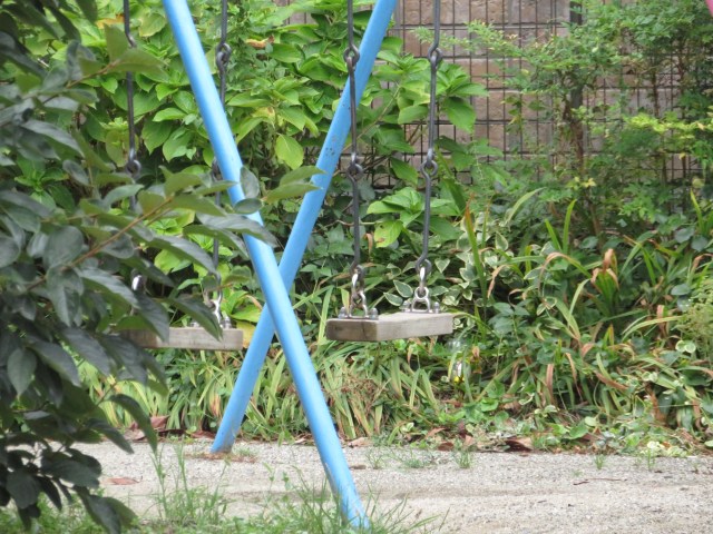 two swings in a playground