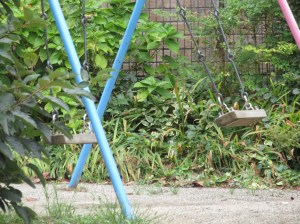 One swing low, one swing high