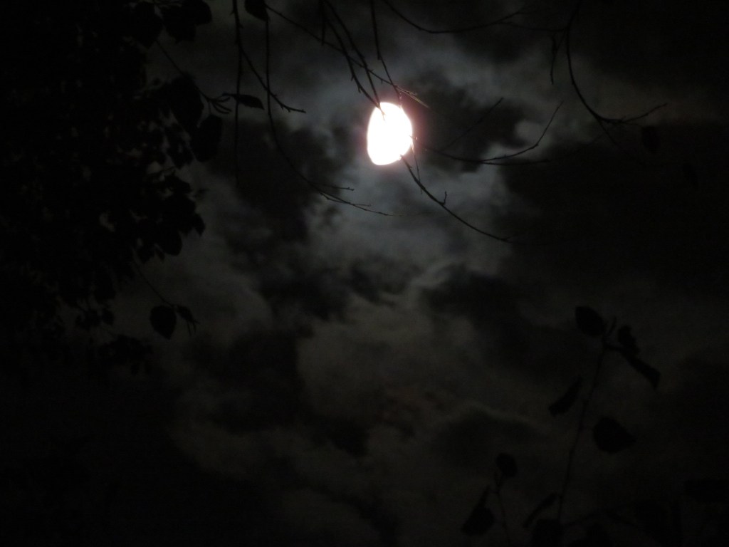 Wordless Wednesday: Halloweek moon&nbsp;shots